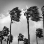 Windows Company Clearwater FL