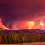 Climate change boosted Australia bushfire risk by at least 30%