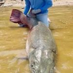 Record-breaking fish: 10 huge catches that made headlines in 2023