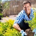 Tree Surgeons Dartford