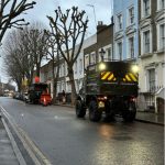 Tree Surgeons In Colchester