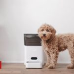 Pets 'go hungry' after smart feeder goes offline