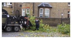 Tree Surgeons Dartford